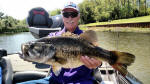 Bass caught April, 2017 fishing with John Tanner