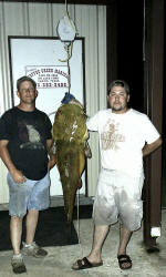 Randy Bell & Thomes Mimms caught this 75 lb Appaloosa Catfish on Memorial day near Coffee Creek Marina  while trot lining.