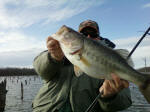 Nice bass caught by Pro Guide Tom Evans