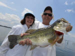 Steve Smith with a 11 lb 9oz Giant fishing with David Vance.