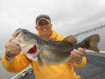 Bass caught fishing with Guide David Vance