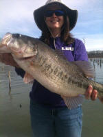 Bass caught while bass fishing with Pro Guide Eddie Garrett