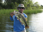 Shawn and his buddies caught these Lake Fork bass while staying at Axtons Bass City