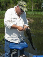 Shawn and his buddies caught these Lake Fork bass while staying at Axtons Bass City