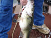 Matthew Lane and son caught an 8 lb. and 5 minutes caught a 10 lb. 