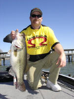 Larry Merseal from De Soto, Missouri caught this 9.14 bass on a brown 7/6 Omega Jig with a green pumpkin paca craw in 8 1/2 foot of water around timber.