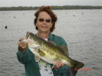 Patsy, caught this one by a stump 3 ft deep, Baby Brush Hog.  3/23/2007