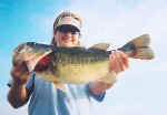 Terry Harrel from Oklahom with an 8.1 Lake Fork bass caught 7-5-03