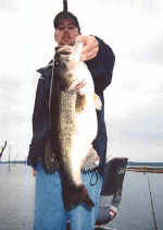 A 10.4 lb Lake Fork bass caught while fishing with J&J Guide Service