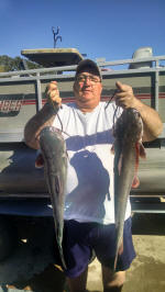 Two large Catfish caught while fishing with Guide Dave Longrie