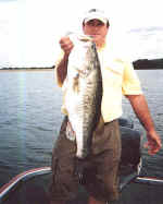 Ross Ryon from Southlake, Texas lands this nice 10.8 lb Lake Fork trophy bass while fishing with J&J Guide Service 