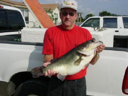 Danny McBride of Hatchett, Arkansas, caught this 13.16-pound largemouth on Friday, October 29, 2004, while fishing on Lake Fork. 