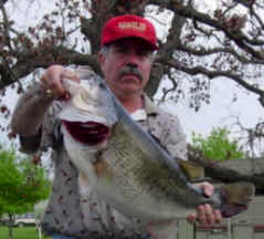 Robert Beato, an Albuquerque, New Mexico angler caught a 13.66 pound largemouth