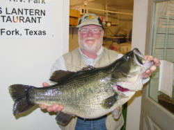 a 15.5 largemouth bass