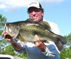 a 14.02 lb largemouth bass