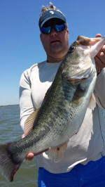 Bass caught while bass fishing with Pro Guide Eddie Garrett