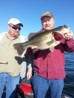 Greg Middleton Lake Fork 11lbs 12oz Bass caught October 30 2014