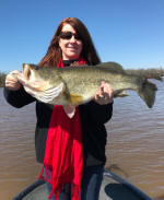 Bass caught fishing with guide Sam Cotton