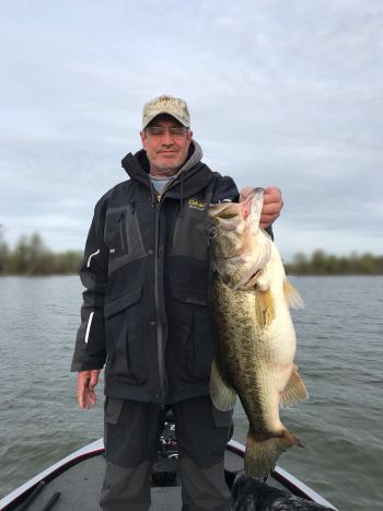 Bass caught while fishing with Guide Andrew Grills