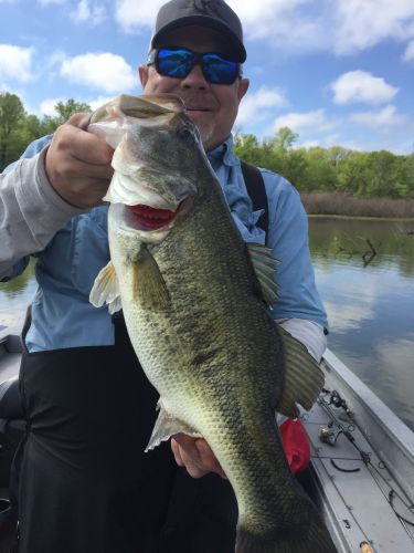 bass fishing with Guide Tom Evans