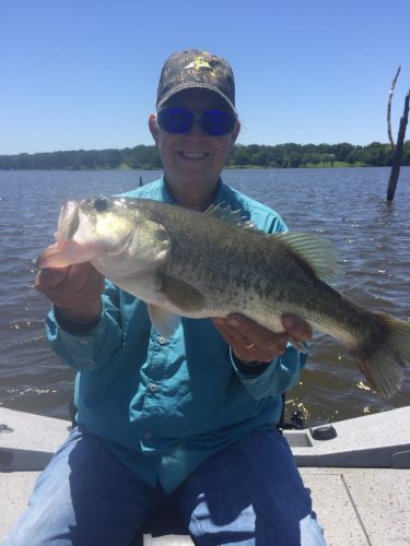 Bass fishing with Guide Tom Evans