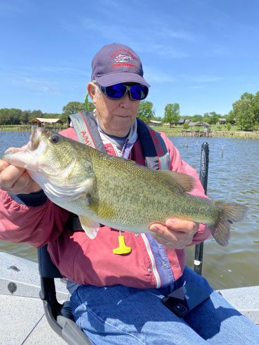 Bass caught while fishing with Lake Fork Guide Tom Evans