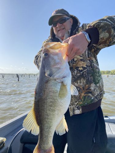 Bass caught while fishing with Lake Fork Guide Tom Evans