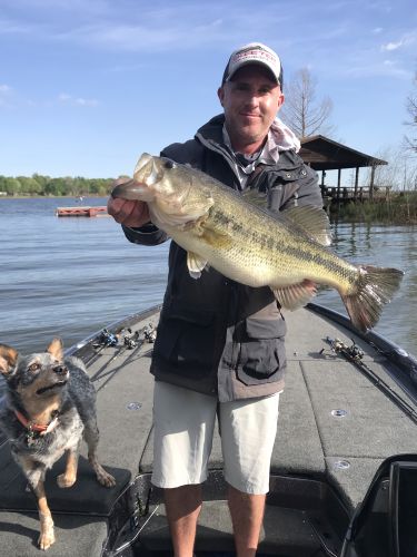 Bass caught fishing with Guide Andrew Grills 