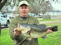 A 13.0 lb. Largemouth Bass