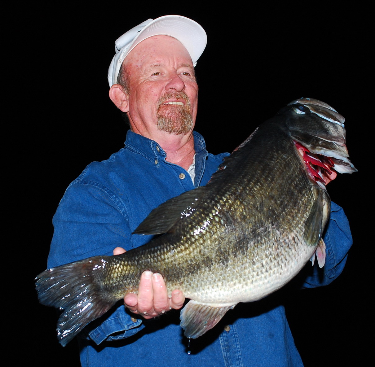 The fish weighed 15.61 lbs and was 23.25 inches in girth and 25.25 inches long.